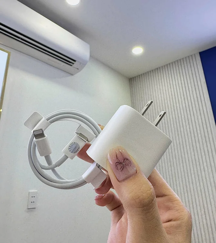 Củ sạc bóc máy 20W