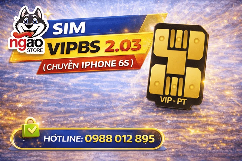 Hướng dẫn ghép sim VipBS 2.03 chi tiết